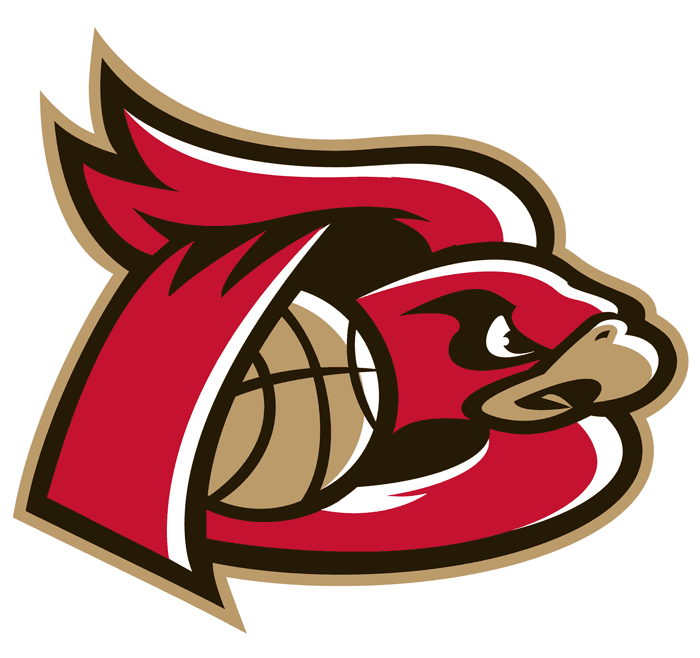 Erie BayHawks 2007-Pres Secondary Logo iron on transfers for clothing